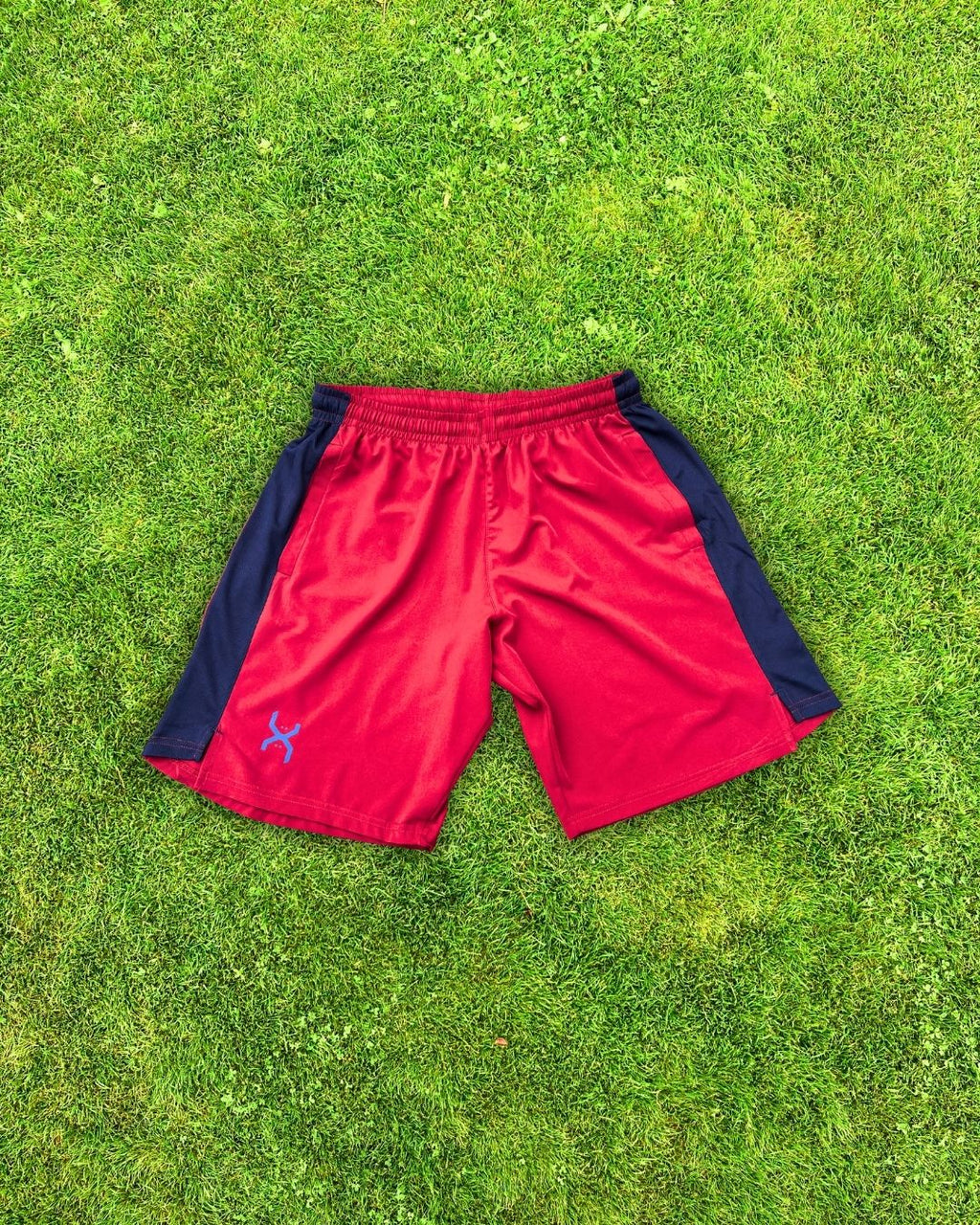 X‑KRIPT SW Training Short