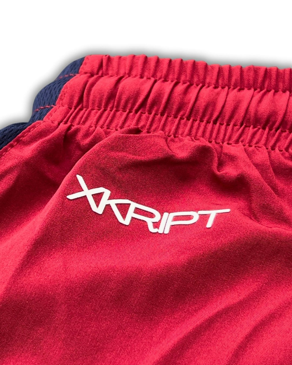 X‑KRIPT SW Training Short